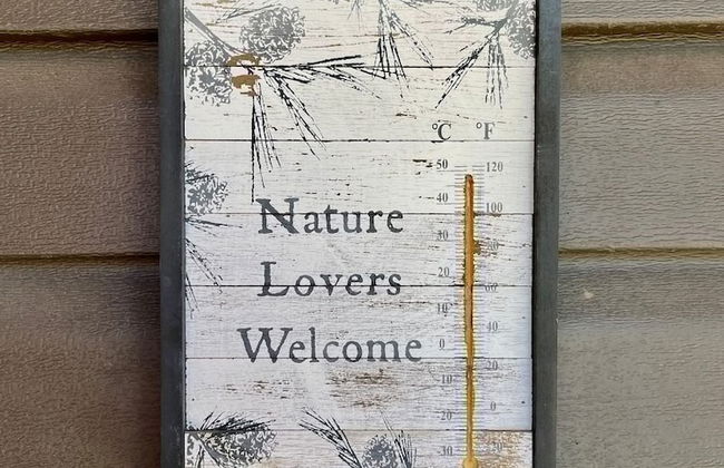 Perch Point- Hikers Dream Cabin Base - Photo 10