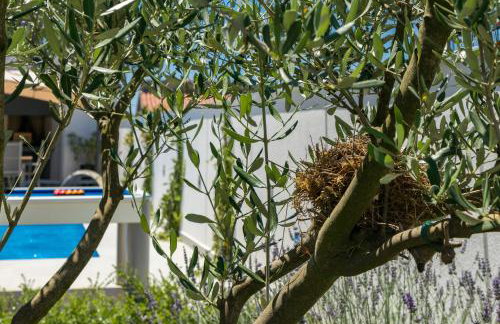 Villa Casa L - Photo 24