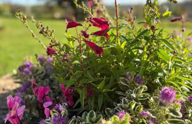 La Mouy - Périgord Noir - Farmhouse with pool - Foto 21