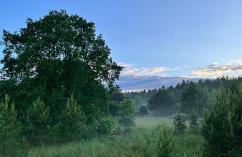 Landbahnhof Buschhof 1 OG, mit Gartensauna - Foto 35