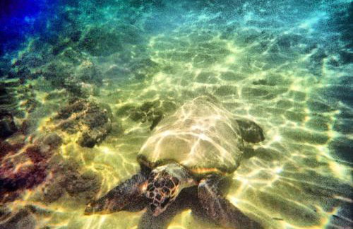 Alkionis Beach Hotel Apartments - Photo 35