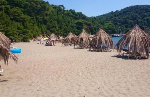 LILY's Peaceful Oasis- BRAND NEW - Foto 32