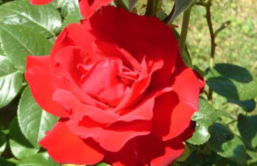 Agriturismo Pian dei Pini - Foto 39