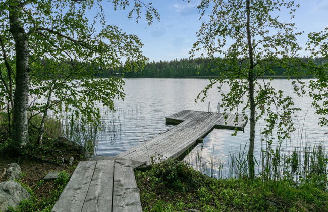 Koivuniemen rouva - Foto 6