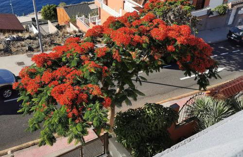 Balcón de Costanera - Foto 34