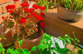 Casa Mirante da Serra em Tiradentes - MG - Foto 12