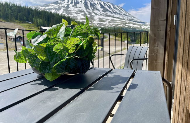 Gausta View - Photo 34