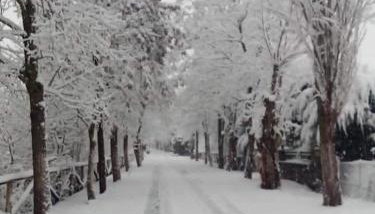 Trifonakia - Photo 3