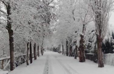 Trifonakia - Photo 3