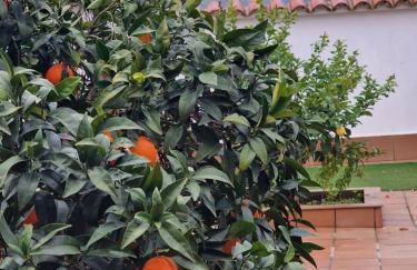 La casa del patio ATBA00260 - Foto 1