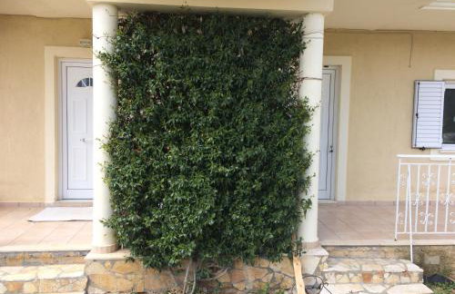 Sunny Studios - Foto 56