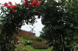 Sonniges Studio im Haus Deutsch Krone - Foto 19