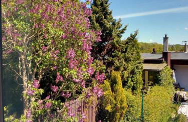 Domki na Stoku Nadole - Foto 12