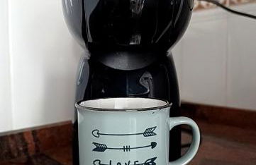 VINYES DEL PRIORAT - Foto 14