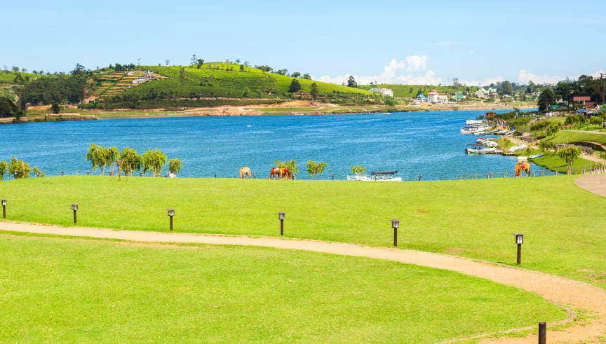 Tour privado de 2 dias por Nuwara Eliya