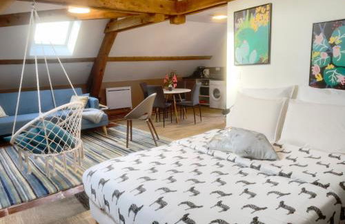 Appartements de Diane - JOIGNY - Foto 47