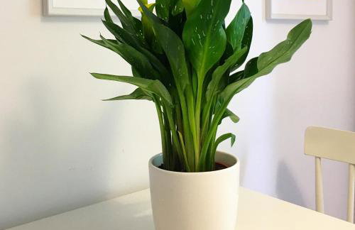 Oficyna Winiarza - Foto 16