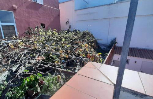 Canarian House La Florida, Orotava - Foto 31