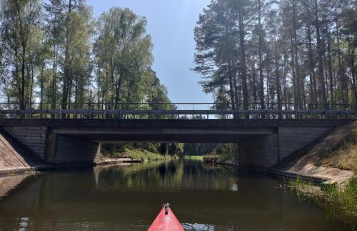 Leśna Chata kuracyjna nad rzeką z sauną w Borach Tucholskich - Foto 52