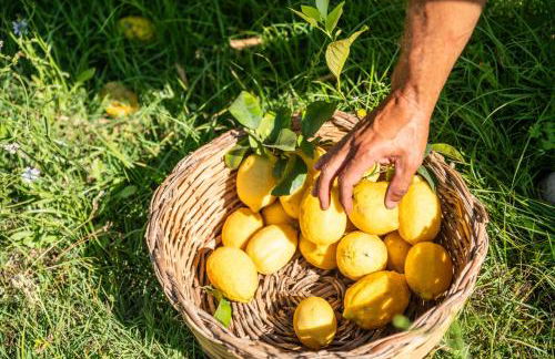 Masseria Torre Ruggeri - Foto 58