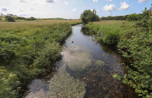 Bwthyn Derwin Fawr - Photo 28