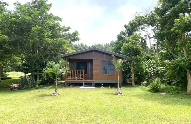 Maui Creek Bures - Foto 19