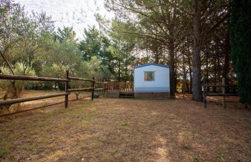 Kenya - Écuries du Mas di Gau - Foto 37