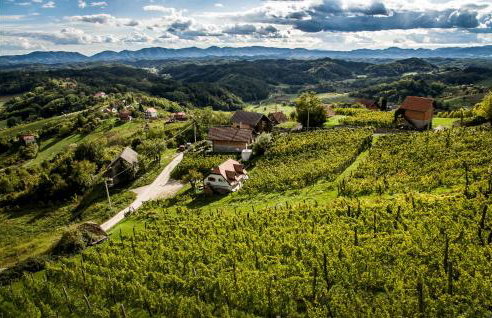 Cozy Home In Vrhi Vinagorski - Foto 14