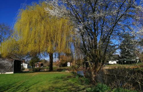 Le Clos de la Tannerie - Foto 10