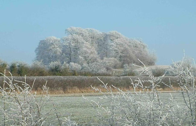 Cottage in Area of Outstanding Natural Beauty - Foto 43