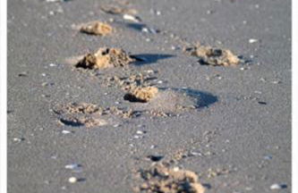 Holiday Home Großes Ferienhaus in Müggendorf mit Garten by Interhome - Foto 14