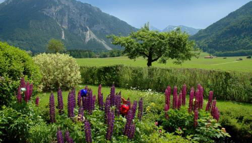 Ferienwohnung Weiß inkl. Chiemgaukarte - Foto 3