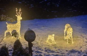 Ferienwohnung Gleißner - Foto 20