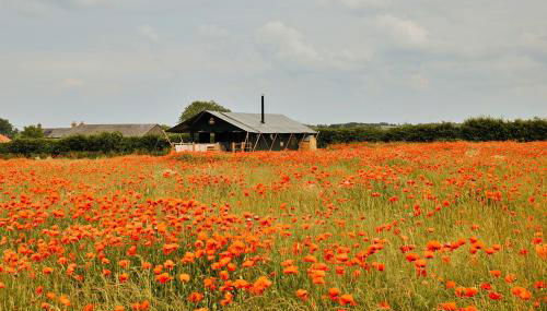 Finest Retreats - Owls Nest - Foto 2, Garden view