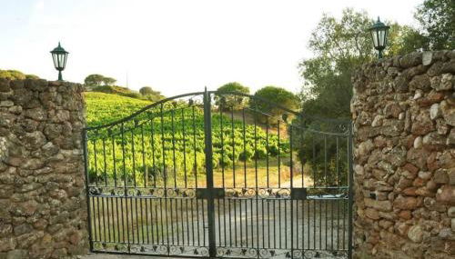 Fabulosa Quinta do Vento - Foto 5