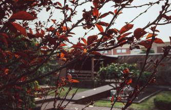 Villa Paquita - Delta de l'Ebre - Foto 42