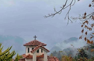 Παραδοσιακή πέτρινη κατοικία στην Βλάχα Ελάτης - Foto 54