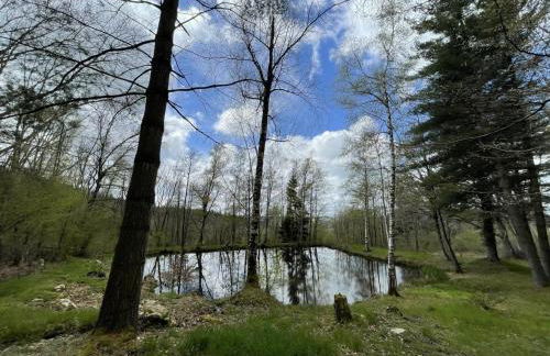 Écrin de verdure pour couple avec parking - FR-1-489-447 - Foto 13