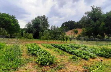 Agreste Agriturismo - Foto 23