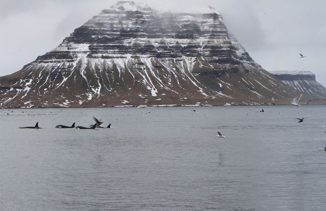 Hellnafell - Foto 75