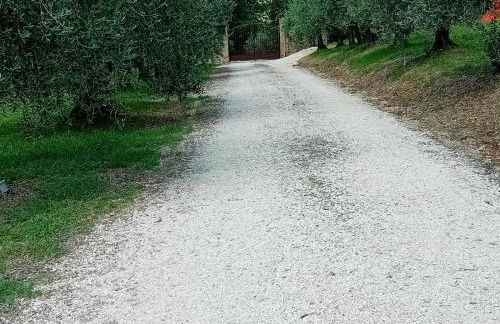 villa il sasseto - Foto 10