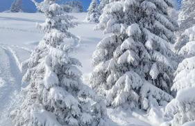 Very Nice Appartment for 4, Marilleva 900, Val di Sole - Foto 73