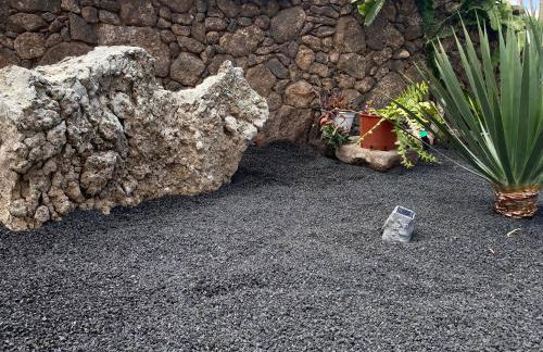 Mardelava - Photo 31