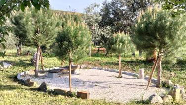 Casinha das Estrelas - Photo 5