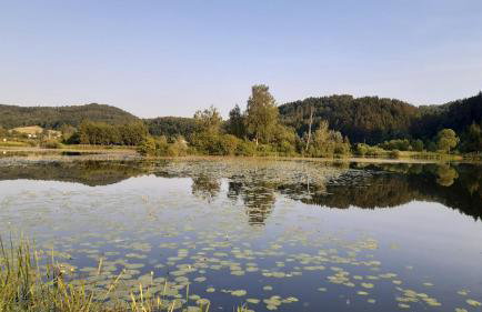 Domek letniskowy nad stawem Temeszów Bieszczady - Foto 18
