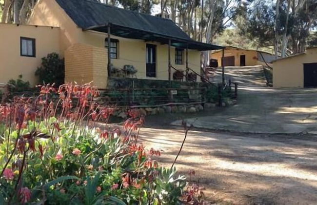 Swaynekloof Farm - Photo 55