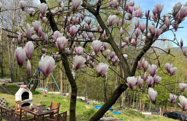 Domek w lesie - Foto 18