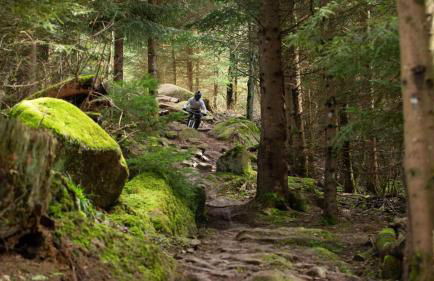 Appartements Les Vosges - Foto 69