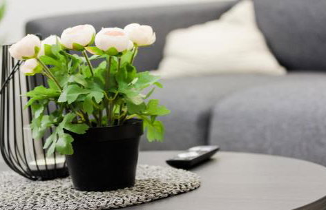 Luxury Apartment Kościuszki 9 - Apartament Larcia - Foto 16