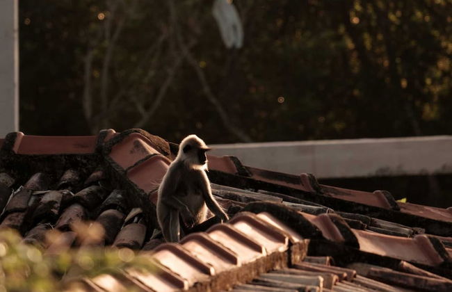 M Beach House by Boutique - Photo 32